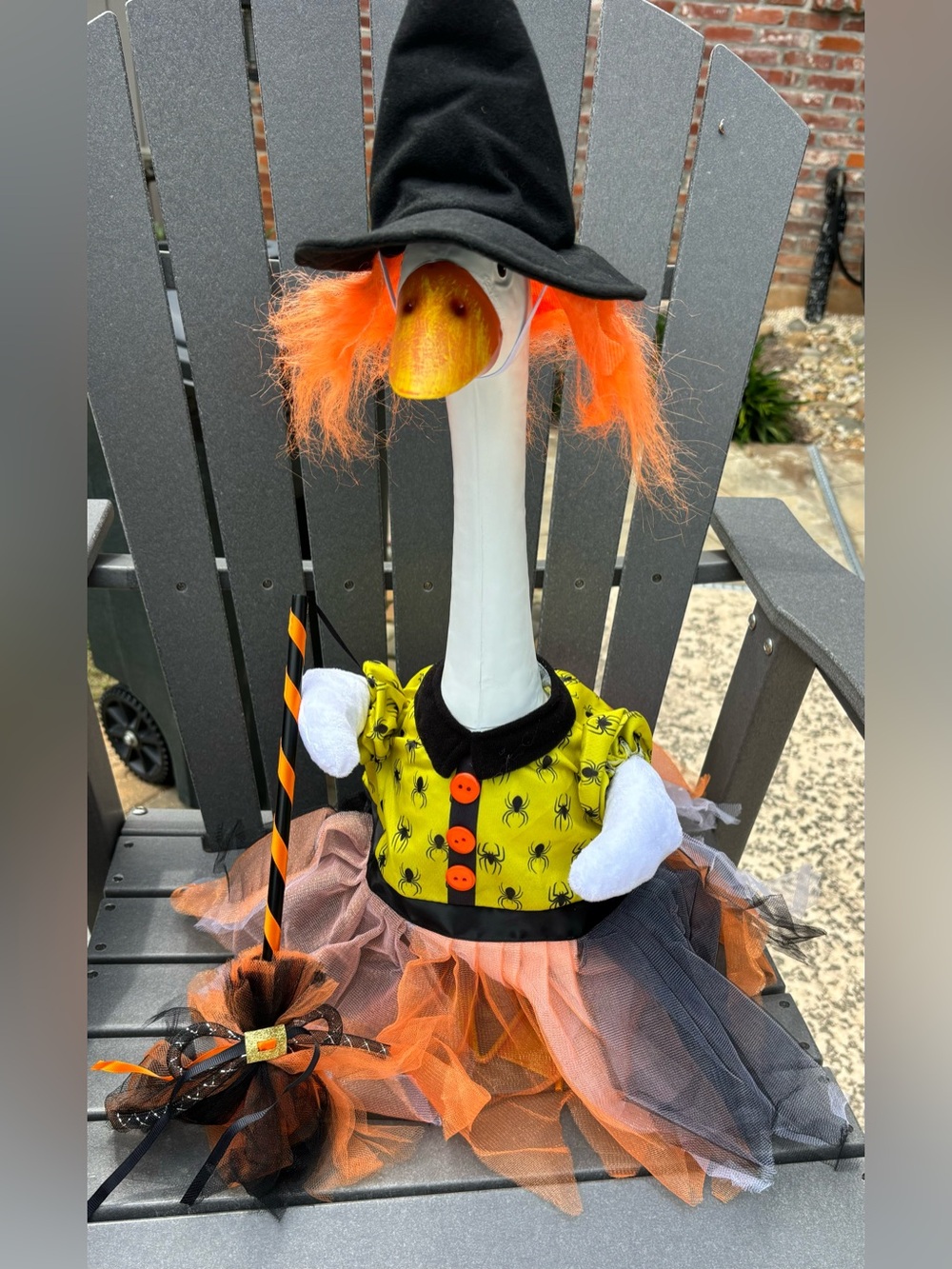 Melloz Porch Goose 🪿 Halloween Witch   Costume